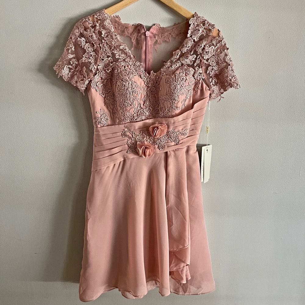 Blush Lace Appliqué Short Formal Dress Size 4 Bridesmaid Cocktail Party Gown
